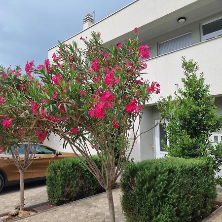 Apartmani Jozic 셀리네 외부 사진